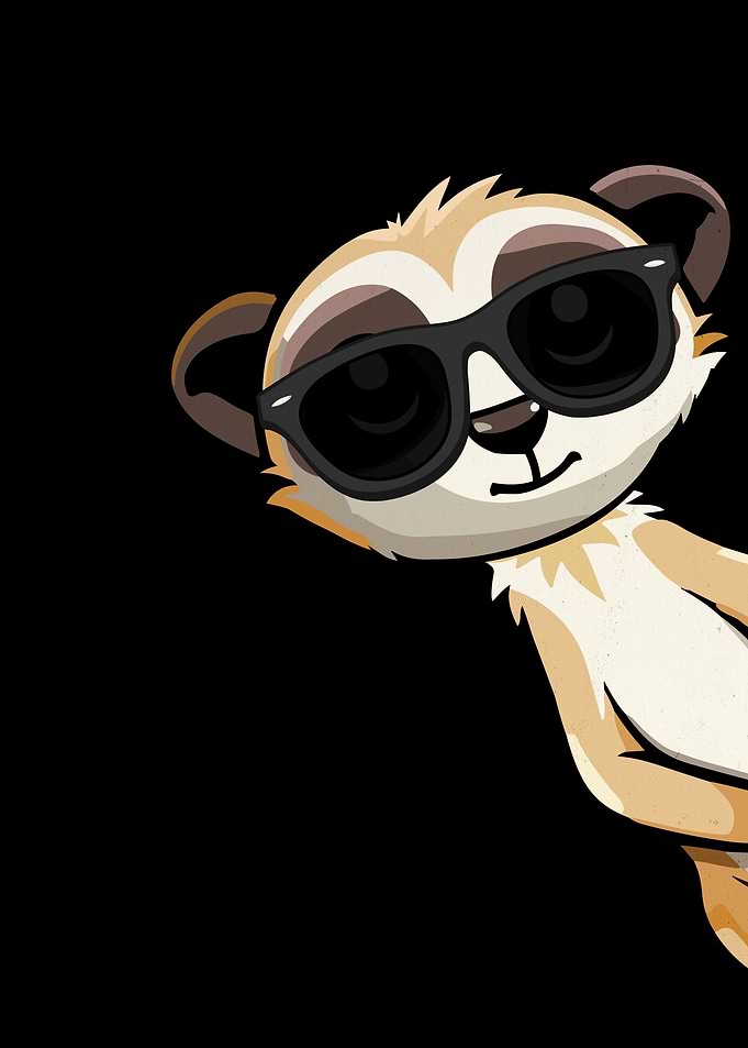 Funny Meerkat Gift Kids