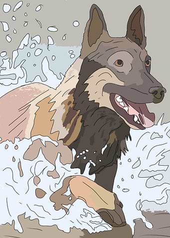 Water Dog