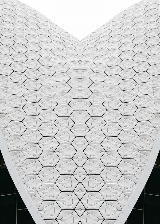 Patterned Symmetry 24