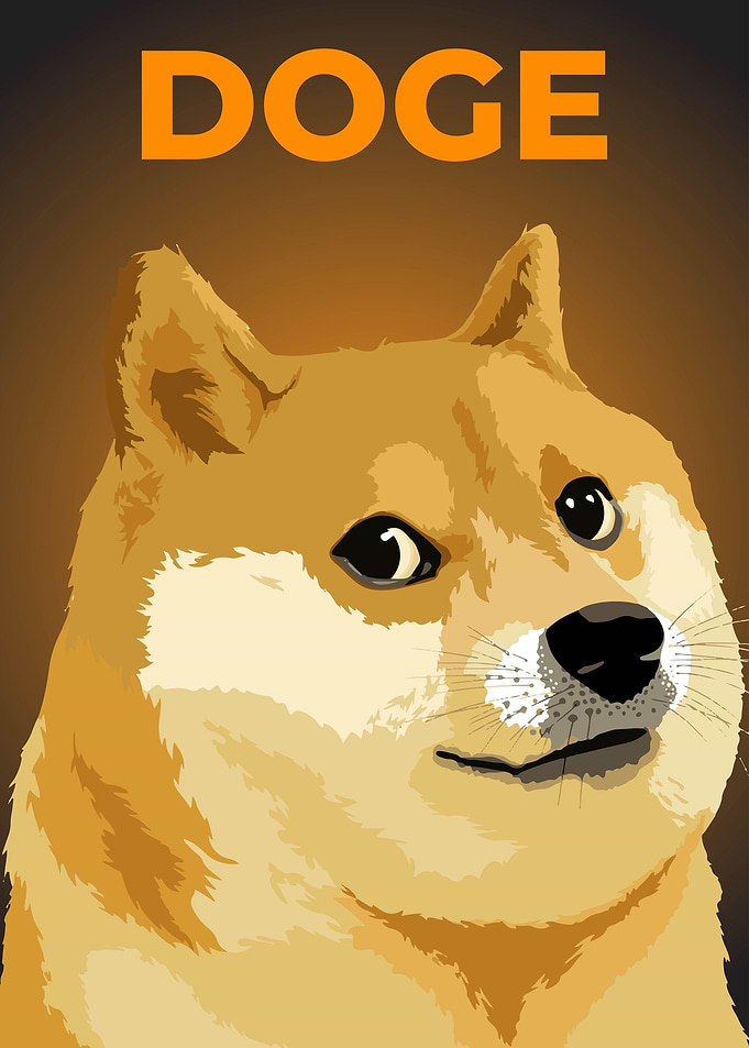 Meme Doge Funny Animals