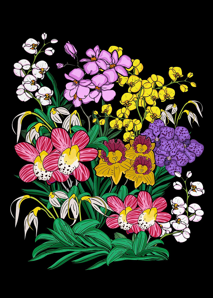 Orchid Flower Lover Women