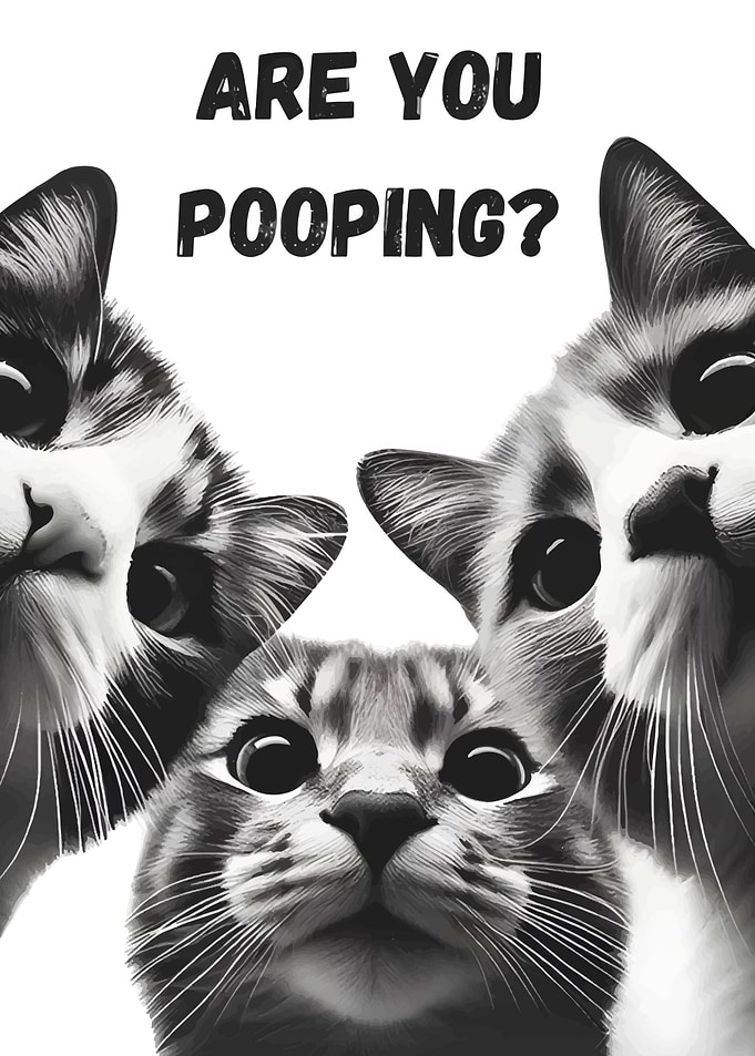 Are You Pooping cats