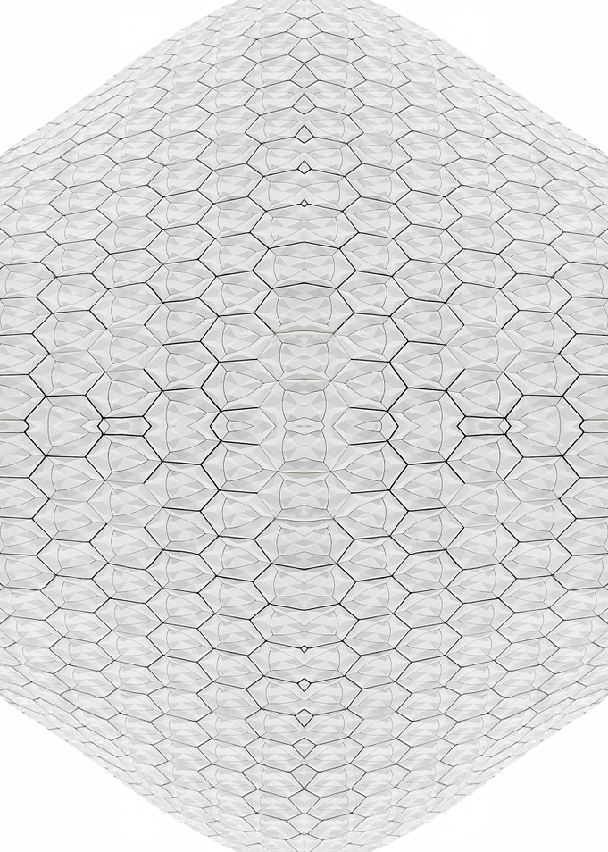 Patterned Symmetry 40