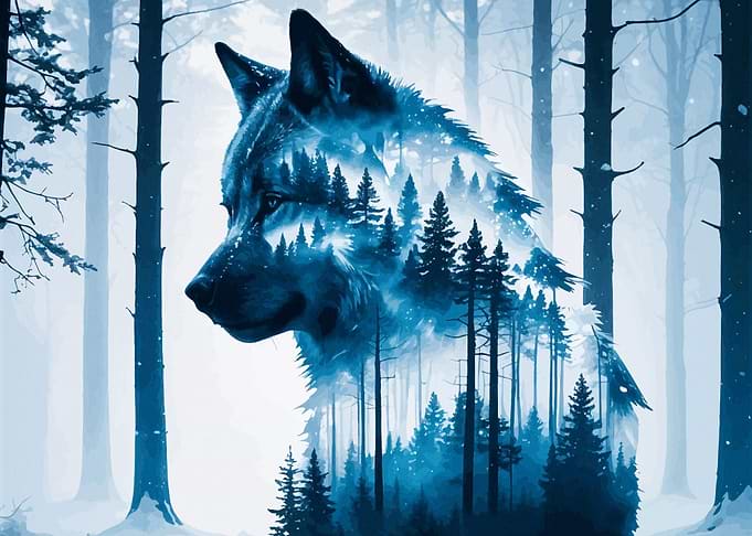 Wolf Forest