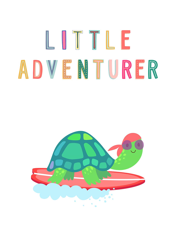 Little Adventurer Turtle