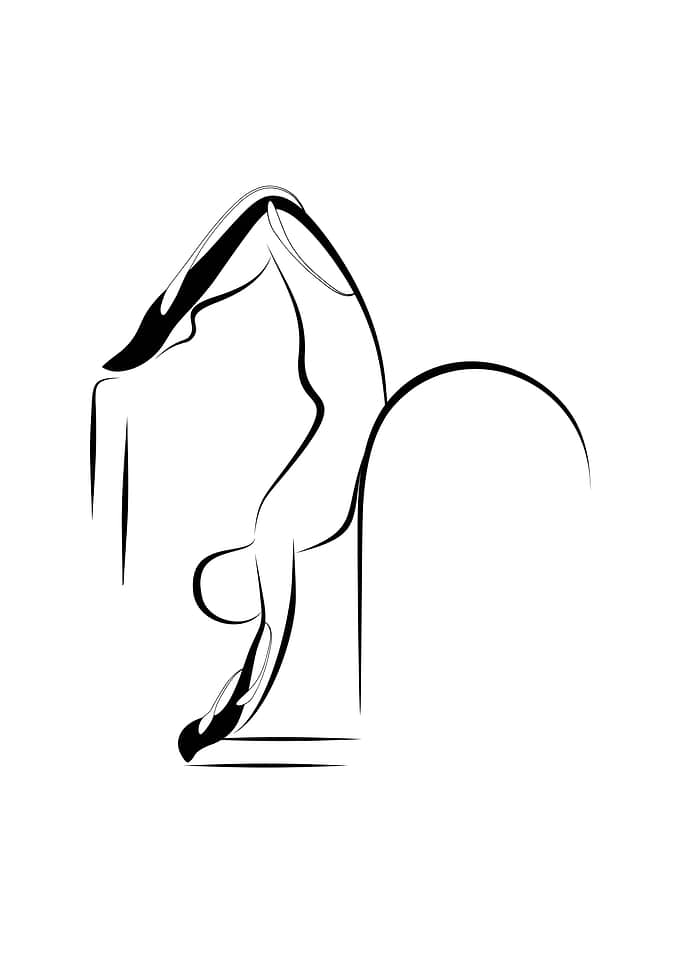 Pilates pose ladder barrel