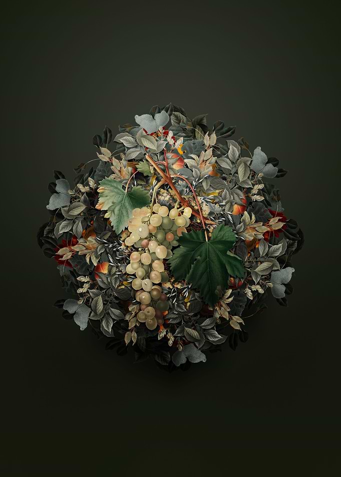 Muscat Grape Wreath