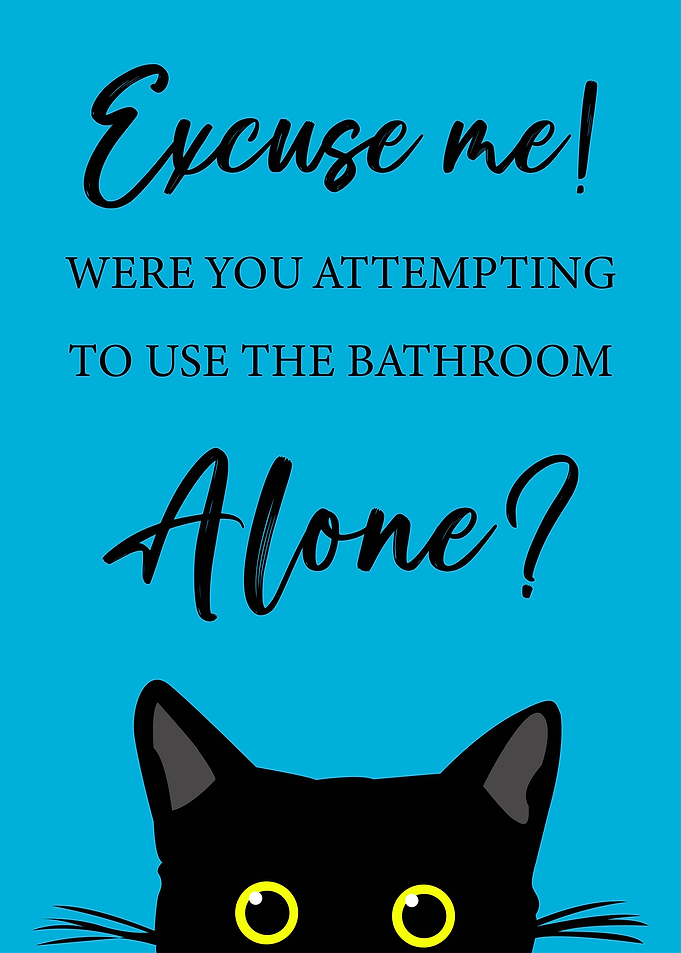 Black Cat Bathroom Funny