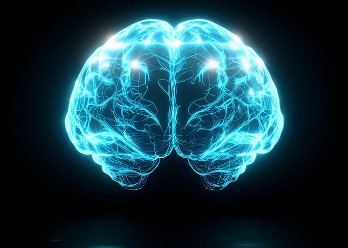 the brain rontgen
