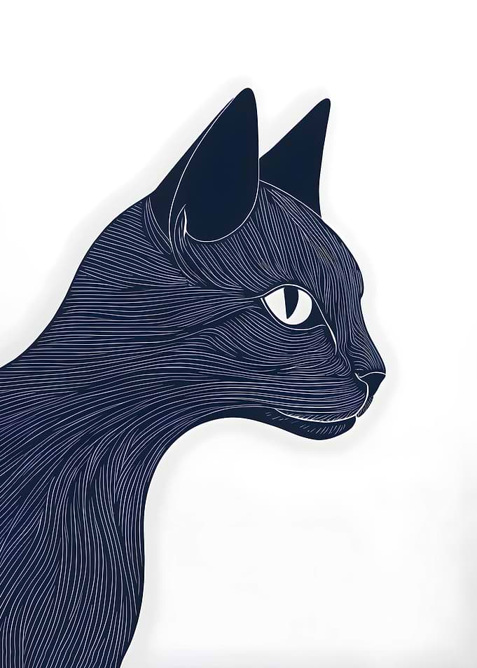 Cat illustration