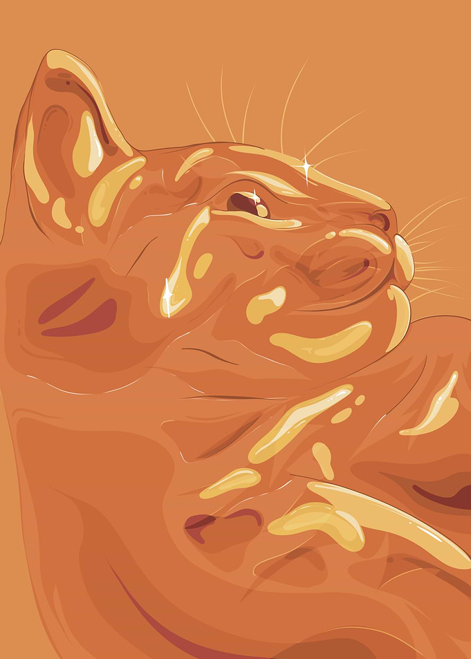 Glass cat