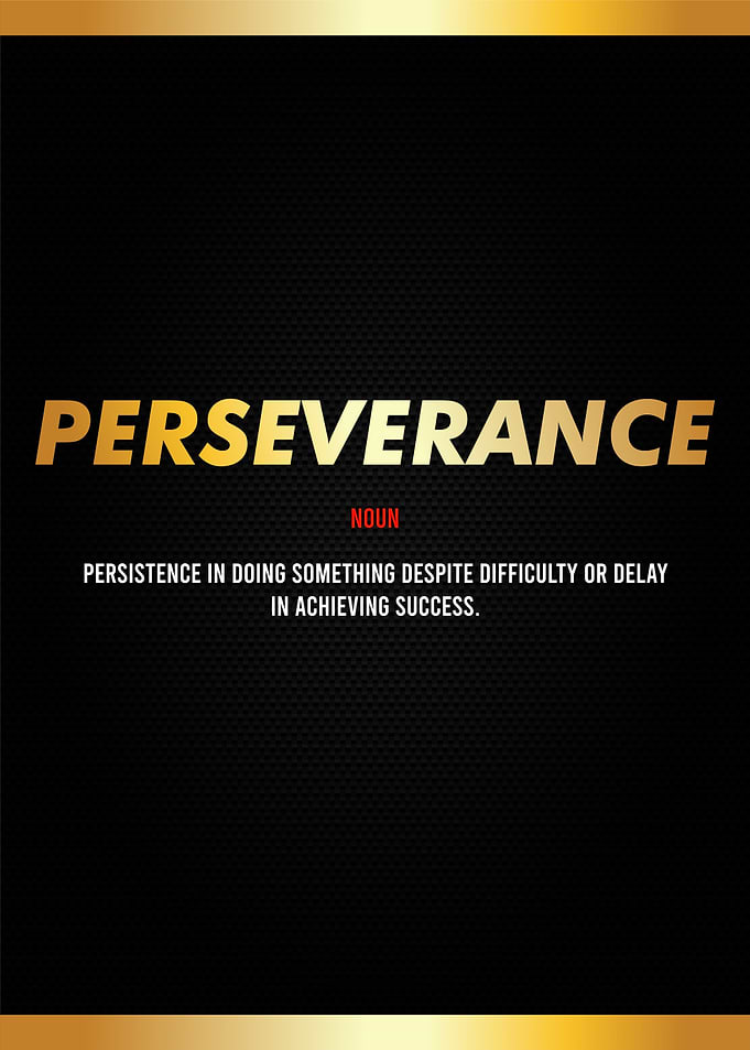 perseverance definition