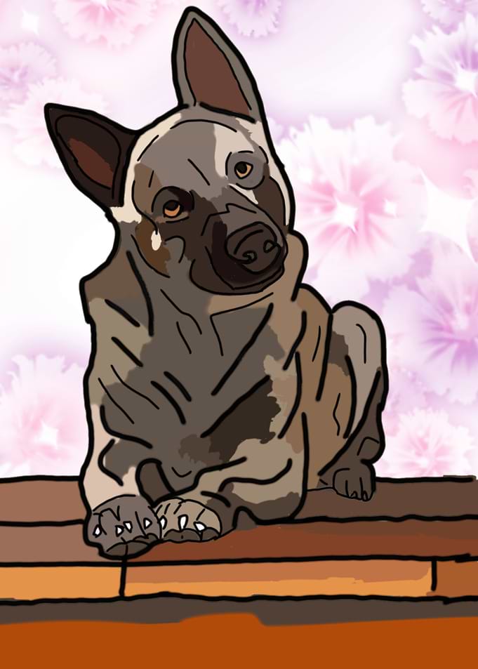 Dutchess
