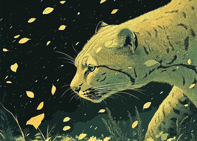 Leopard Wild