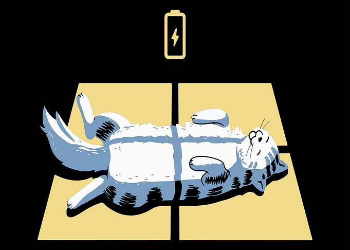 Cat Battery Charging
