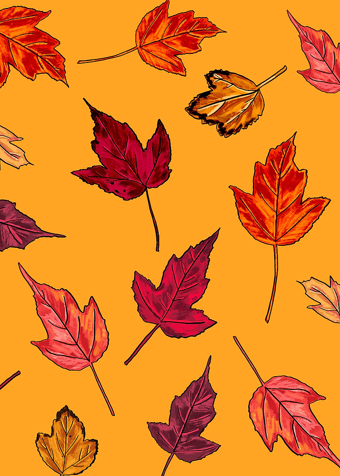 Yellow Fall Leaves