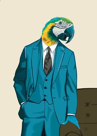 Parrot in a suit