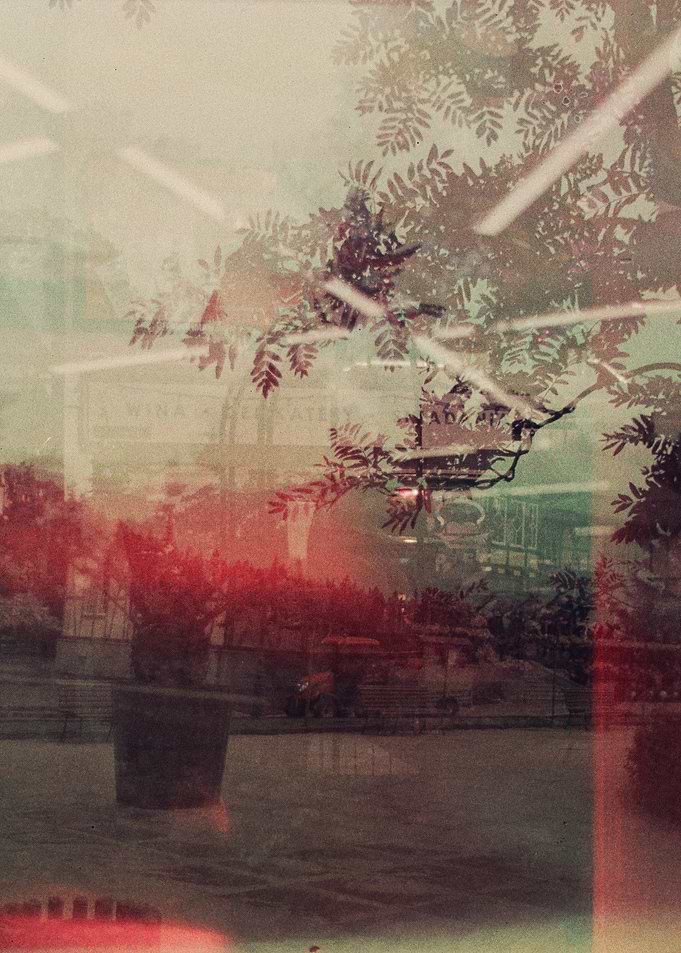 analog photography