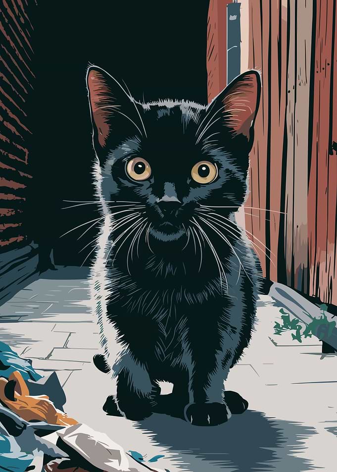 Black Alley Cat Lost