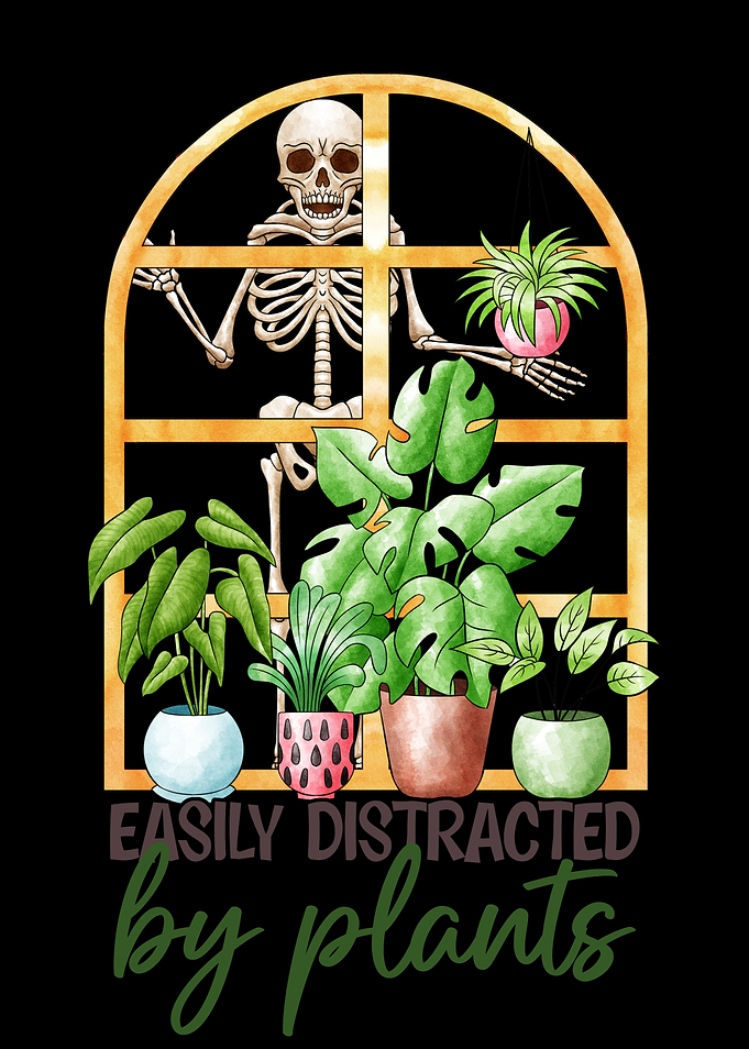 Skeleton Plant Lover