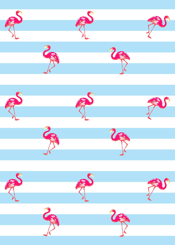 Pink Flamingo Pattern