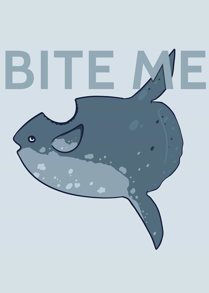 Ocean Sunfish Bite Me