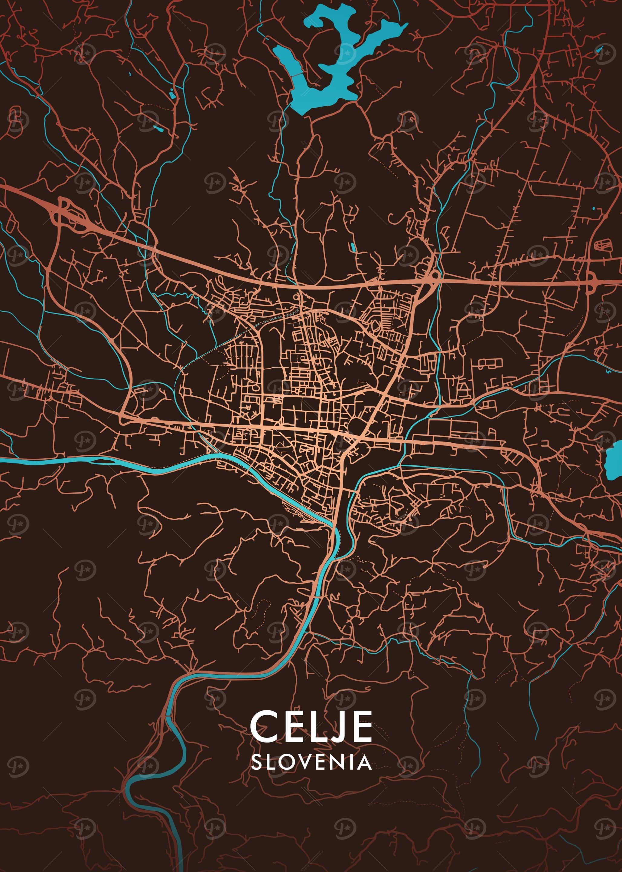Celje City Map