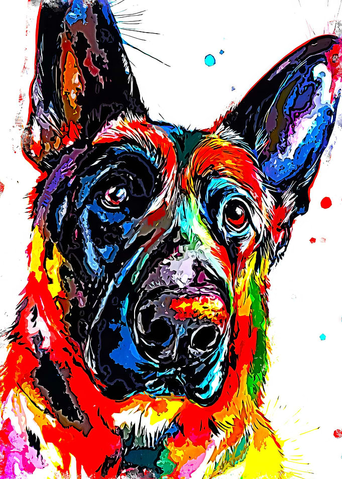 German Shepherd