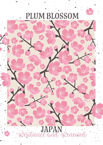 Japan Plum Blossom