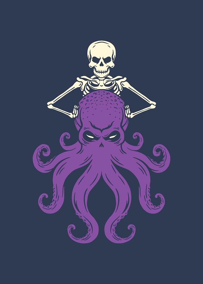 Octopus Skeleton