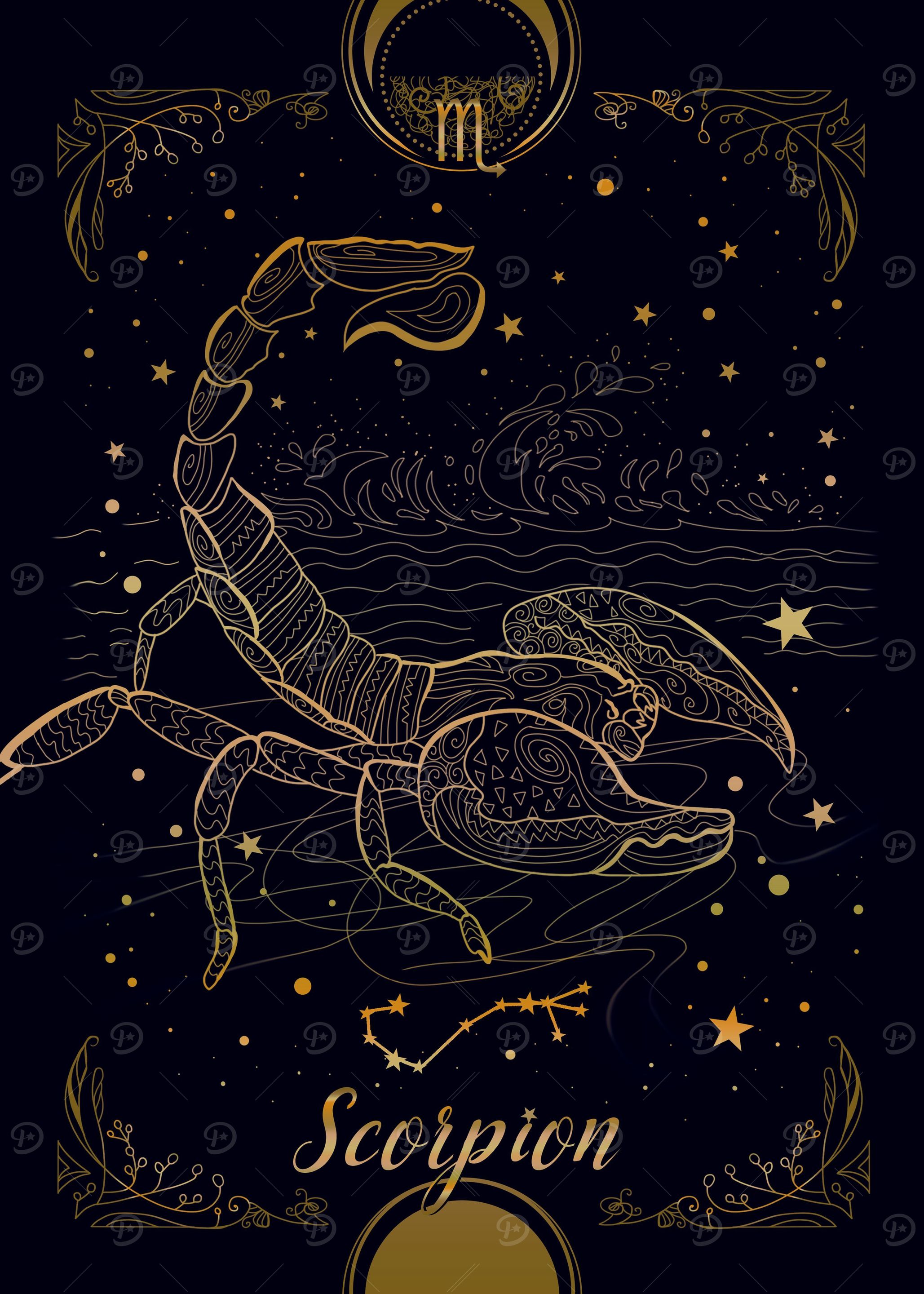 Scorpion or
