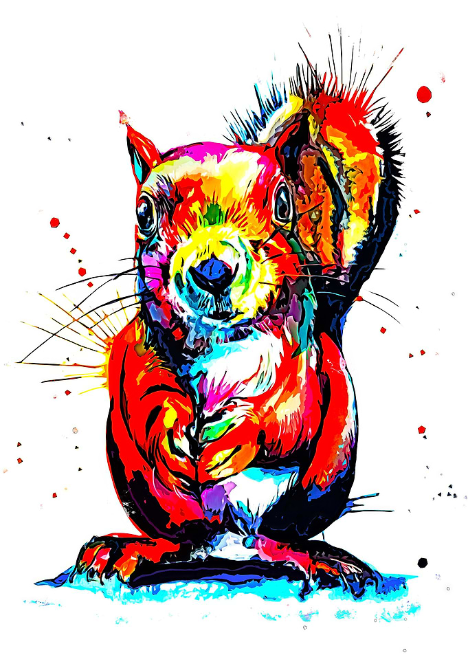 Squirrel