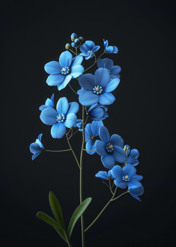 Blue Flowers on Black