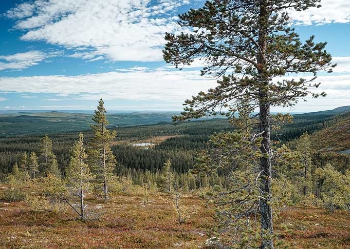 Fulufjllet National Park
