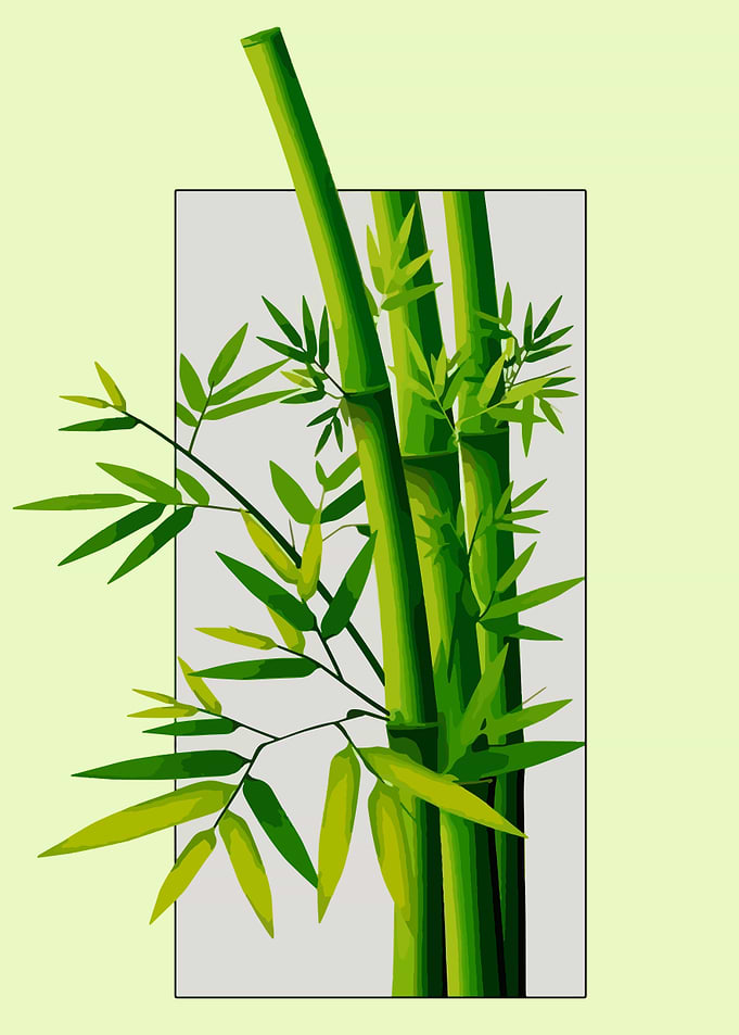 Green Bamboo