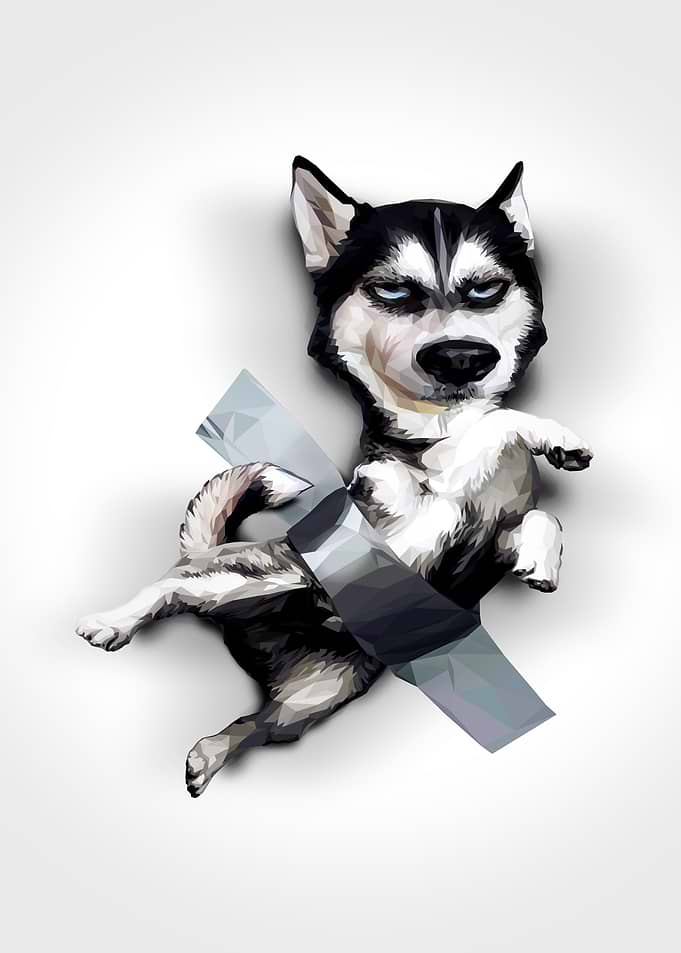 Husky
