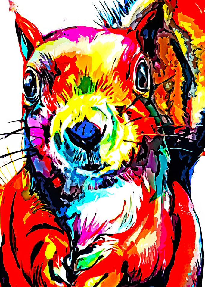 Squirrel