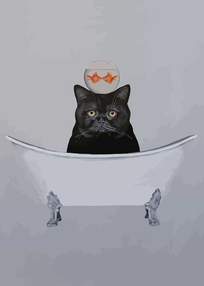 Funny Cat Toilet