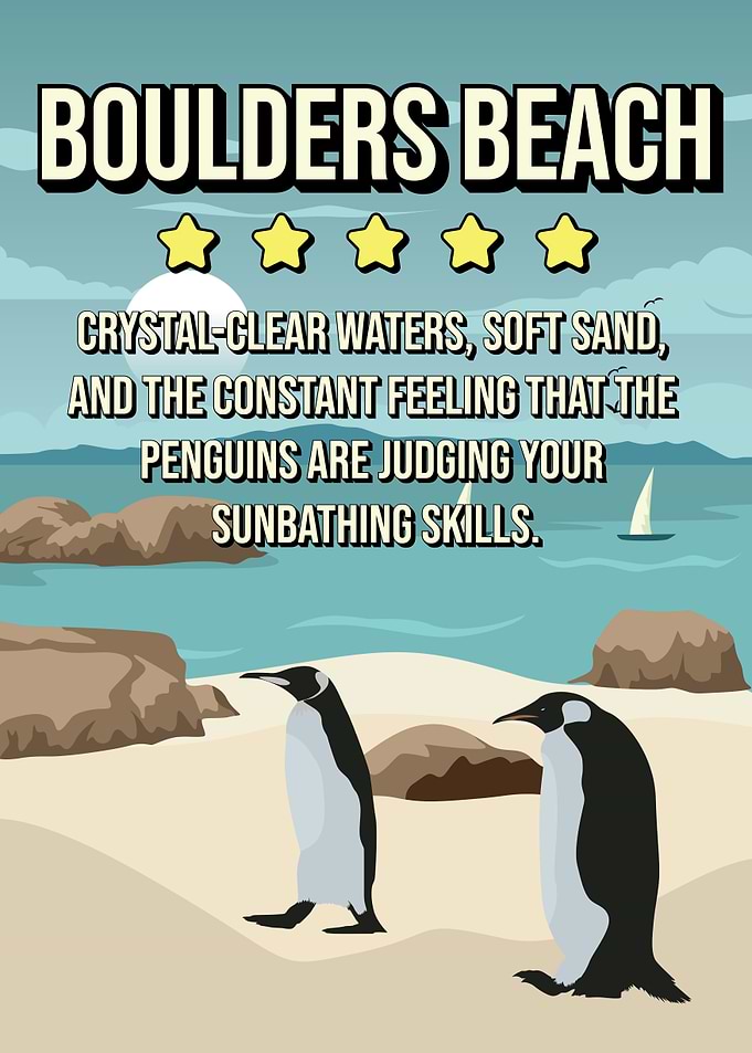 Funnny Boulders Beach Penguins Review