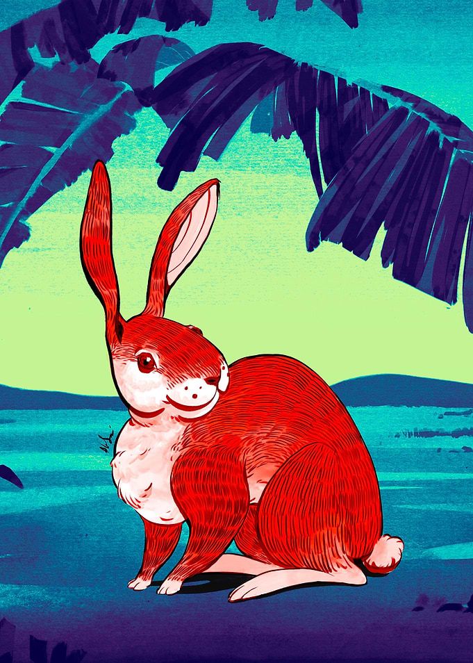 Rabbit