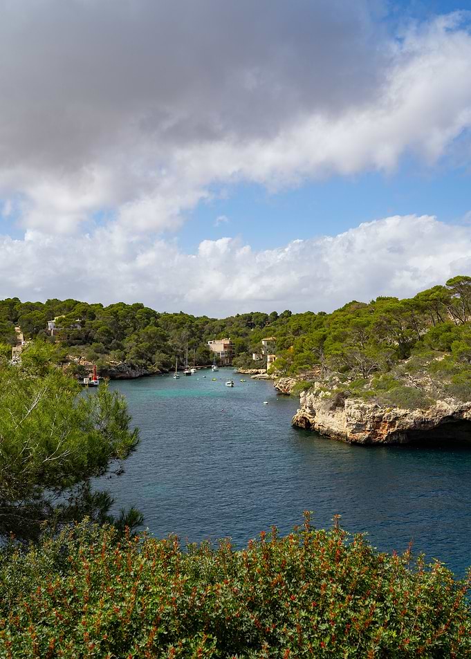 Ocean Bay and Boats