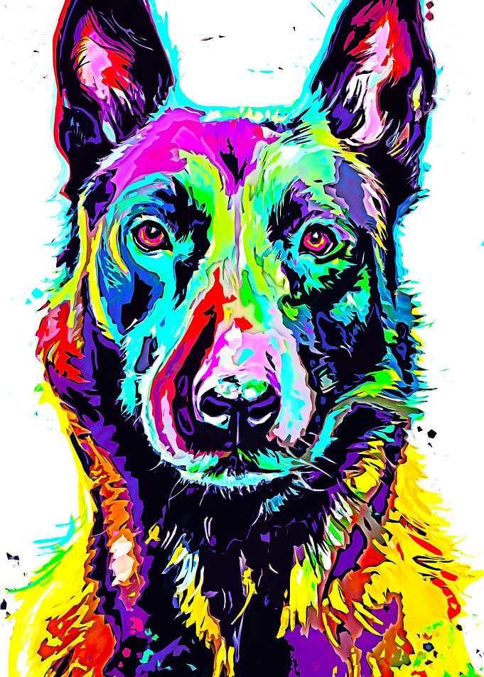 German Shepherd
