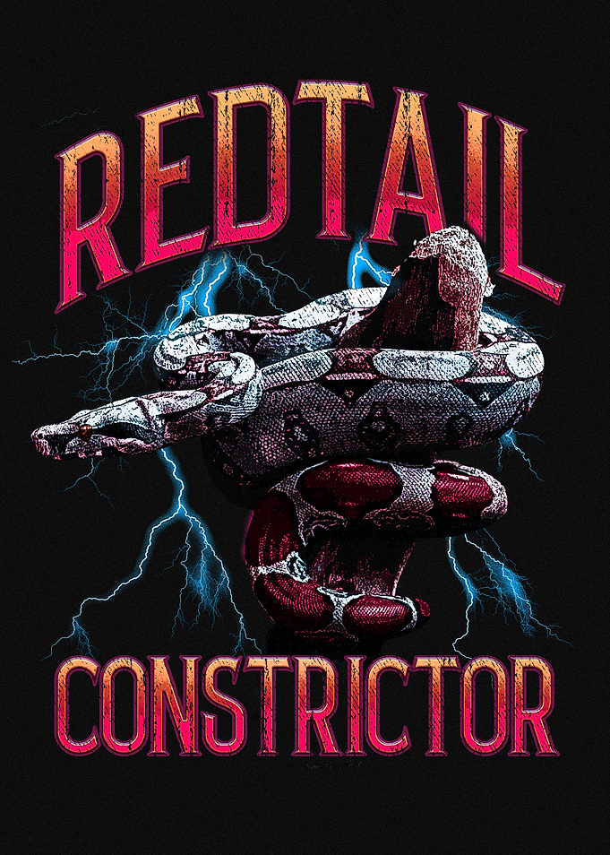 Redtail Boa Constrictor Snake Graphic