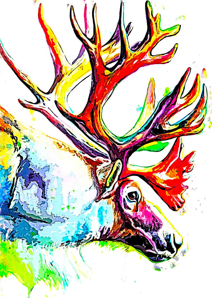Reindeer