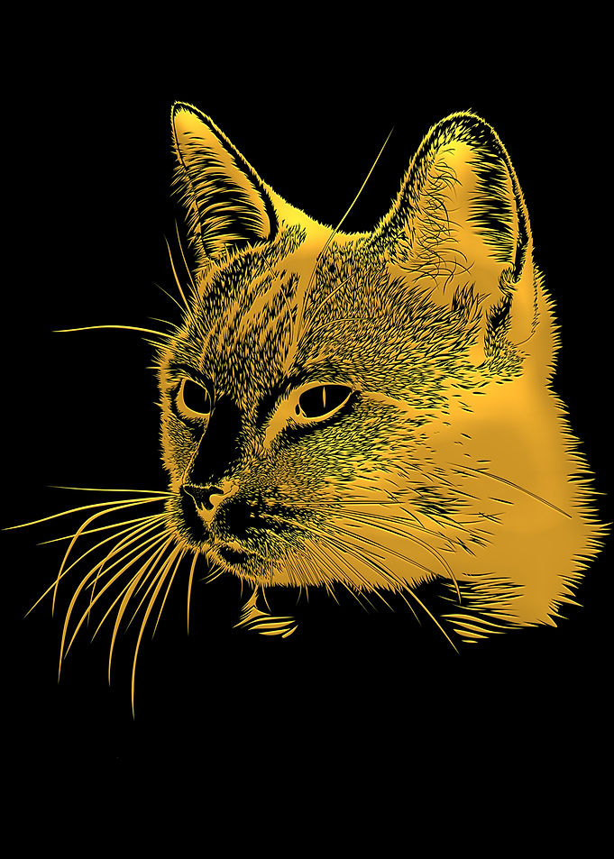 Golden Cat Portrait