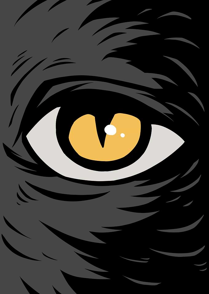 Wolf's Eye in Darkness