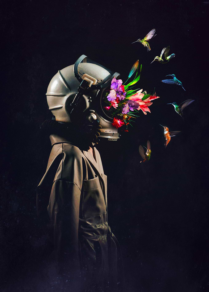 For a Different Purpose: Astronaut with Flowers and Hummingbirds