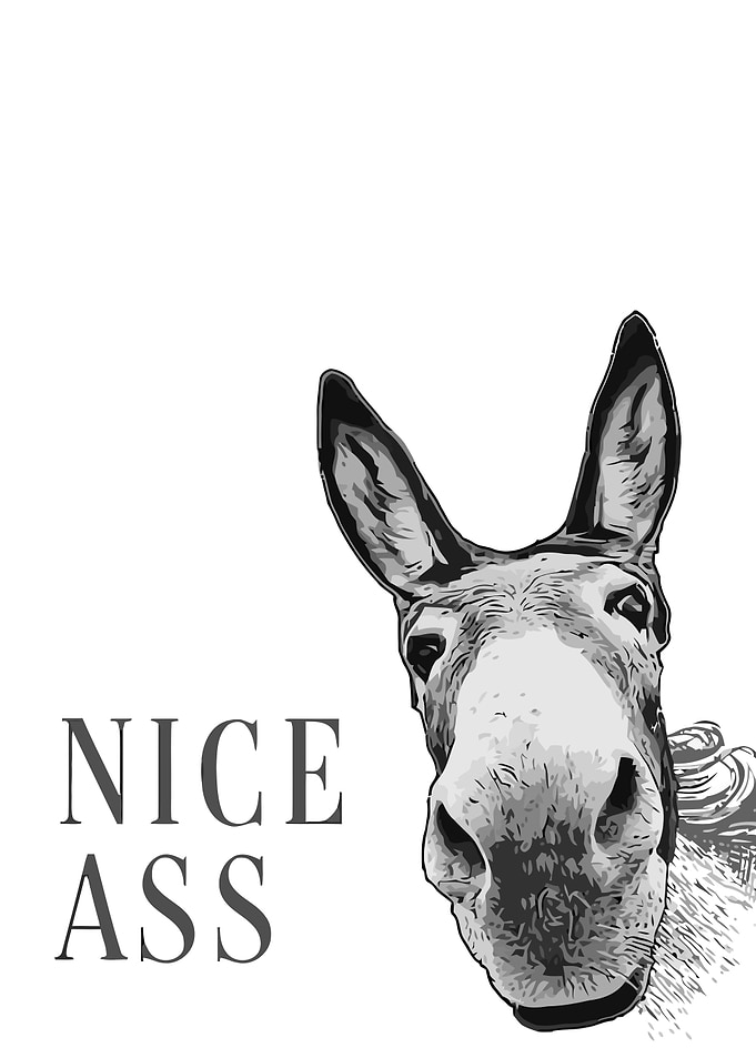 Donkey with Funny Text