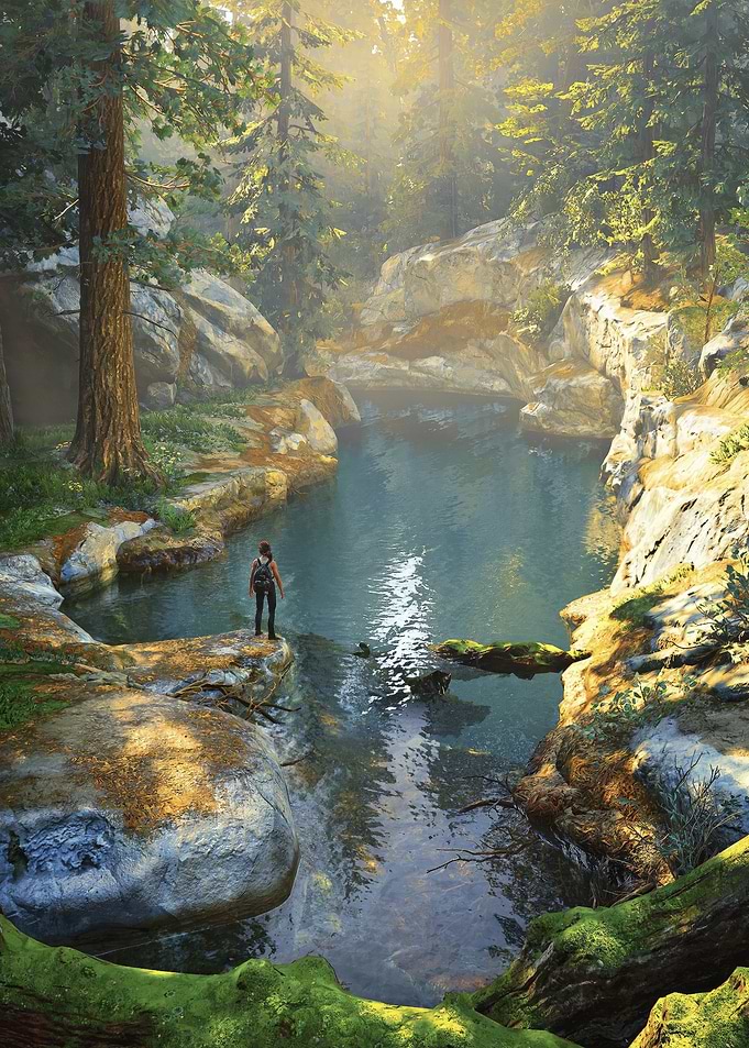 Enjoy The Forest Pool
