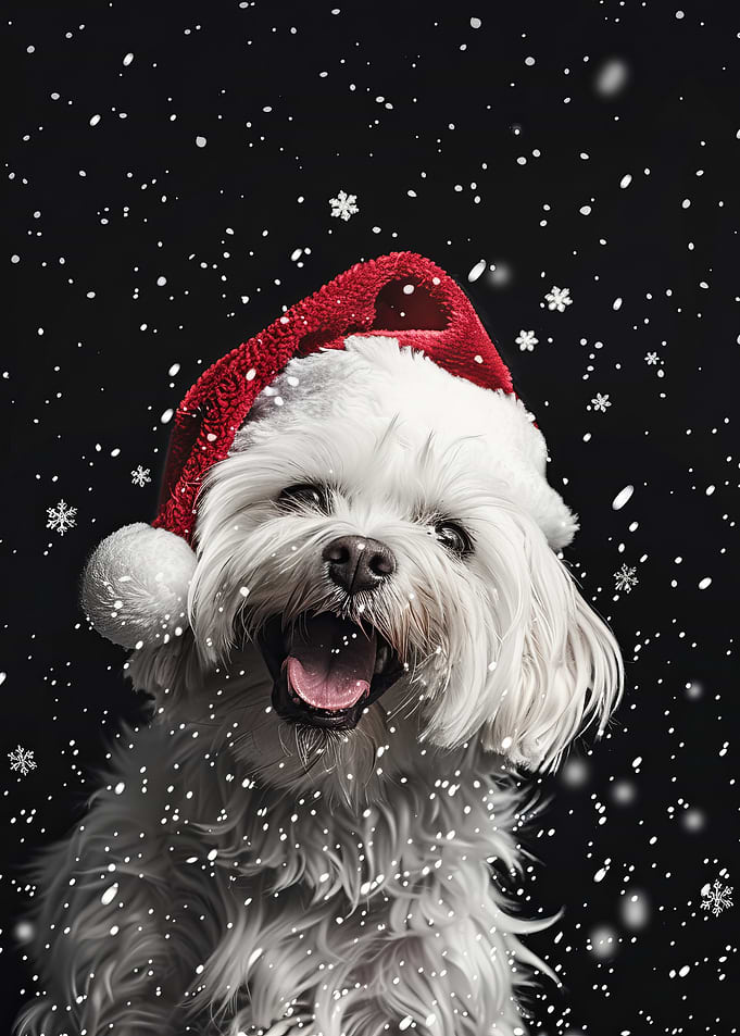 Dog Santa Hat